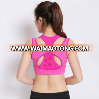 wholesale fitness sexy women sports bra girl sexy tube sexy bra